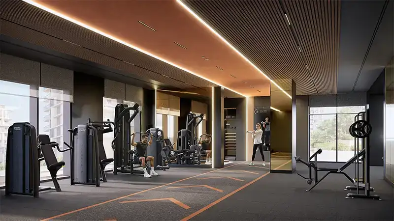 BOULEVARD PARK-GYM